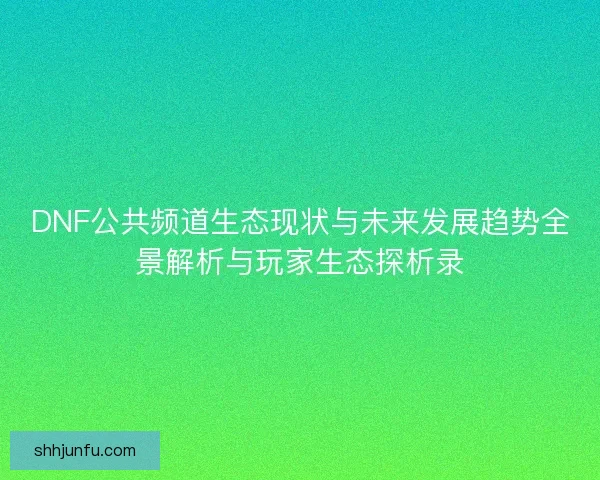 DNF公共频道生态现状与未来发展趋势全景解析与玩家生态探析录